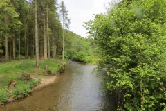 Upstream from saw mill weir (18)-2000x1500