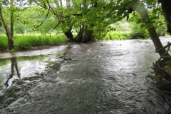 Upstream from saw mill weir (19)-2000x1500