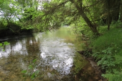 Upstream from saw mill weir (2)-2000x1500