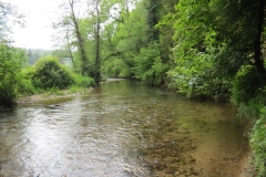 Upstream from saw mill weir (20)-2000x1500