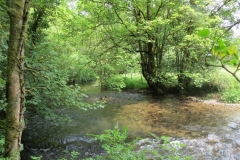 Upstream from saw mill weir (21)-2000x1500