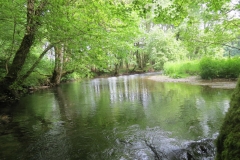 Upstream from saw mill weir (22)-2000x1500