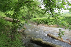 Upstream from saw mill weir (24)-2000x1500
