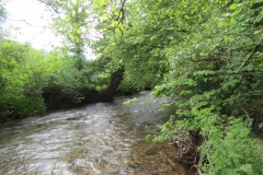 Upstream from saw mill weir (25)-2000x1500