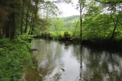 Upstream from saw mill weir (3)-2000x1500