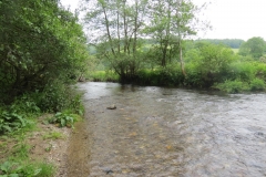 Upstream from saw mill weir (5)-2000x1500