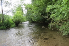 Upstream from saw mill weir (6)-2000x1500