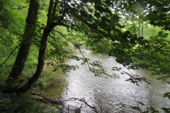 Upstream from saw mill weir (7)-2000x1500