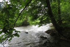 Upstream from saw mill weir (9)-2000x1500