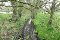 1.-River-Cam-North-of-Hewletts-Mill