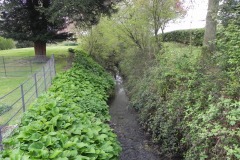 21.-River-Cam-south-of-Hewletts-Mill