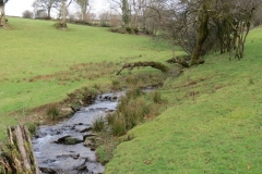 18. Upstream from Lower Spire (1)