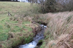 21. Downstream from Lower Spire