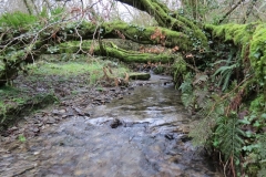 24. Upstream from Liscombe Lower Road (2)