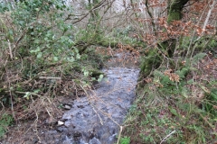 24. Upstream from Liscombe Lower Road (4)