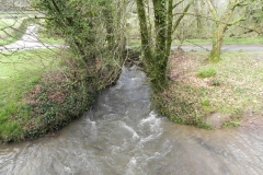 4. Looking upstream from Highercombe Footbridge