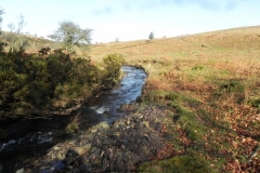 10. Downstream from Hoar Oak Tree