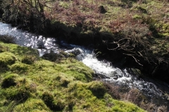 17. Downstream from Hoar Oak Cottage