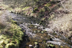 22. Flowing below Furzehill Common