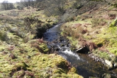23. Flowing below Furzehill Common