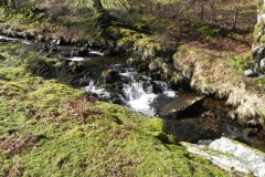 24. Flowing below Furzehill Common