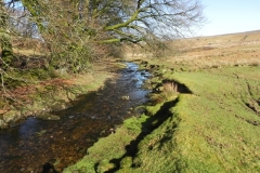 25. Flowing below Furzehill Common