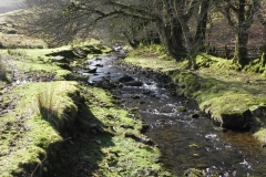27. Flowing below Furzehill Common