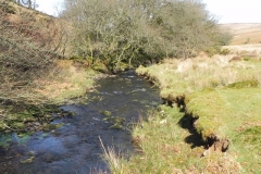 28. Flowing below Furzehill Common