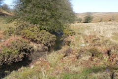 29. Flowing below Furzehill Common