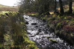 30. Flowing below Furzehill Common