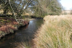31. Flowing below Furzehill Common