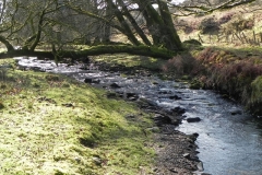32. Flowing below Furzehill Common
