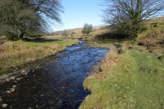 34. Flowing below Furzehill Common