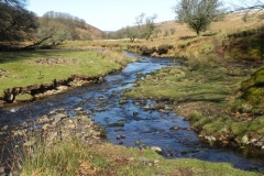 36. Flowing below Furzehill Common