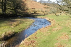 37. Flowing below Furzehill Common
