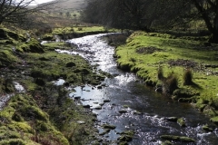 38. Flowing below Furzehill Common