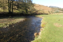 39. Flowing below Furzehill Common