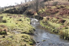 43. Flowing below Furzehill Common