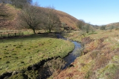 47. Flowing below Furzehill Common