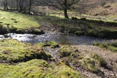 49. Flowing below Furzehill Common