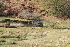 50. Flowing below Furzehill Common