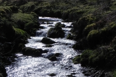 52. Flowing below Furzehill Common