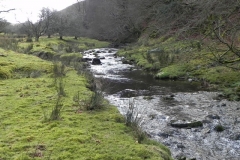 57. Flowing below Furzehill Common