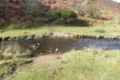 59. Flowing below Furzehill Common