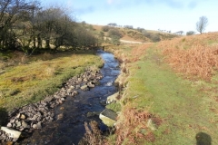 6. Downstream from Hoar Oak Tree