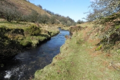 61. Flowing below Furzehill Common