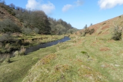 62. Flowing below Furzehill Common