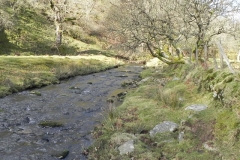 63. Flowing below Furzehill Common