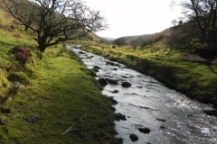 64. Flowing below Furzehill Common