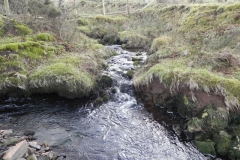 8a. Tributary stream joins from Hoaroak Hill